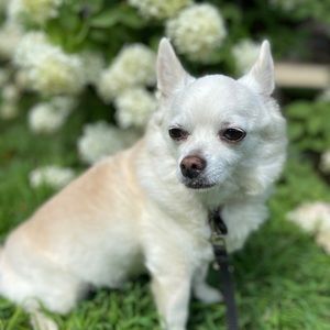 Meet your Posher, Sherry